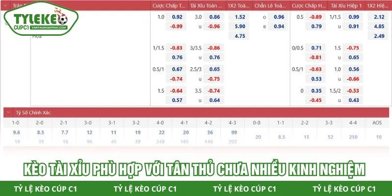 Kèo Tài Xỉu phù hợp với tân thủ chưa nhiều kinh nghiệm