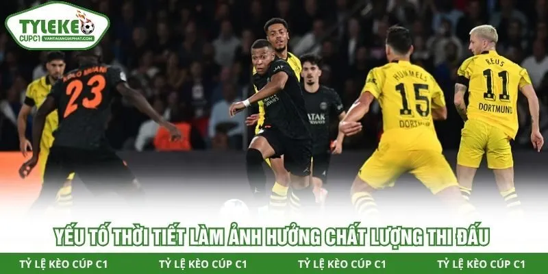 Yếu tố thời tiết làm ảnh hưởng chất lượng thi đấu